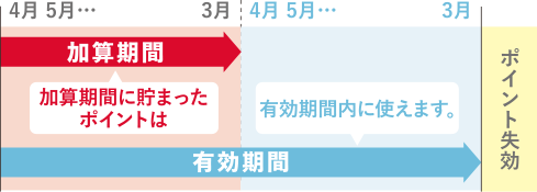 会員 カード メニュー ビット ル